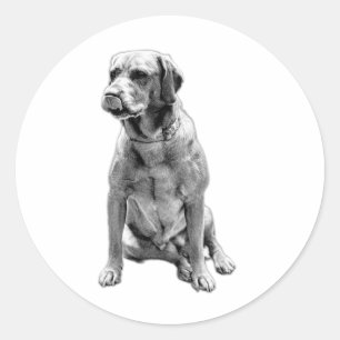 Still. Loyal. Always. Classic Round Sticker