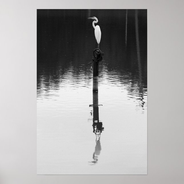 Still Reflection Poster (Front)