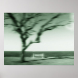 still shadows poster