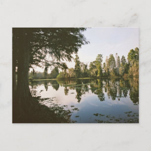 Still waters postcard