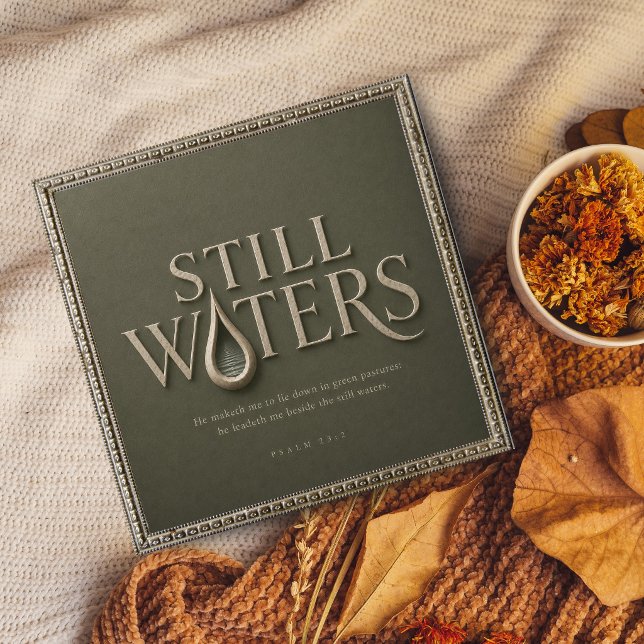  STILL WATERS | PSALM 23:2 | POSTER (Creator Uploaded)