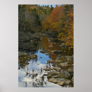 Stillness Speaking fine art canvas print