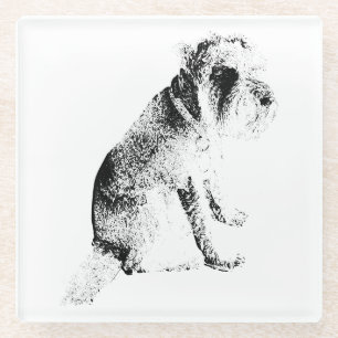 Stillness with Stance Glass Coaster