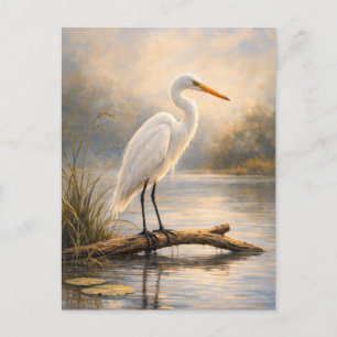 Stillwater Egret   Coastal Wildlife   Postcard