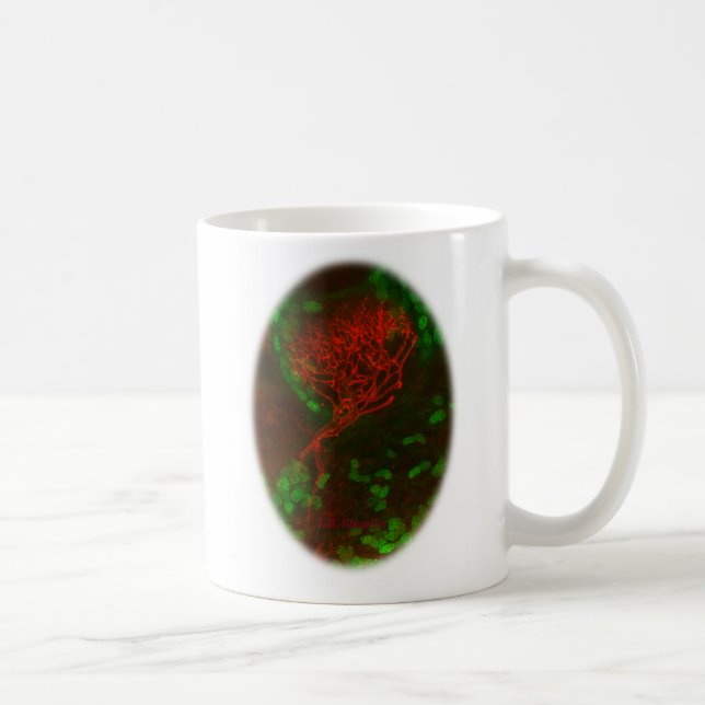 Stimulate Your Neurons! coffee cup (Right)