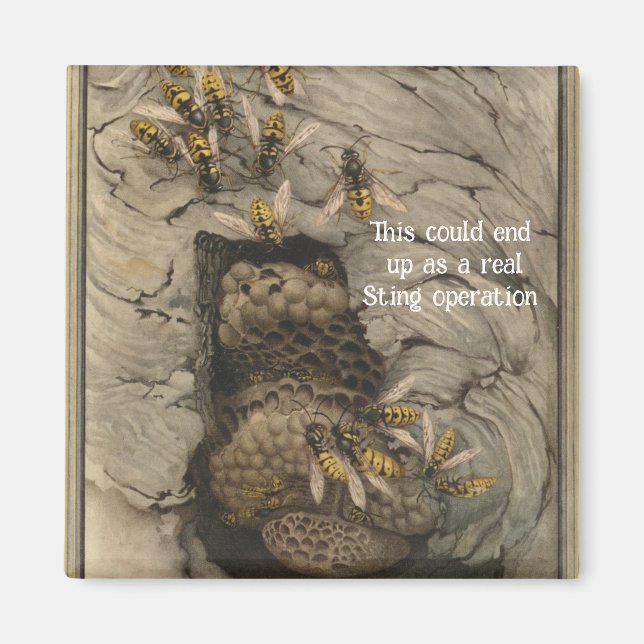 "Sting Operation"Magnet Magnet (Front)