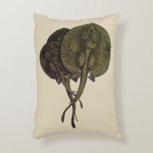 Sting Rays Stingrays, Vintage Marine Life Animals Decorative Cushion