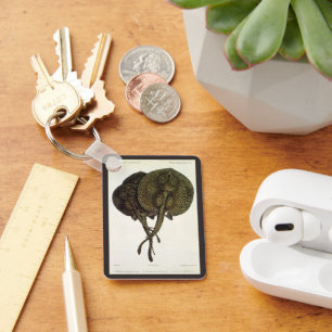 Sting Rays Stingrays, Vintage Marine Life Animals Key Ring