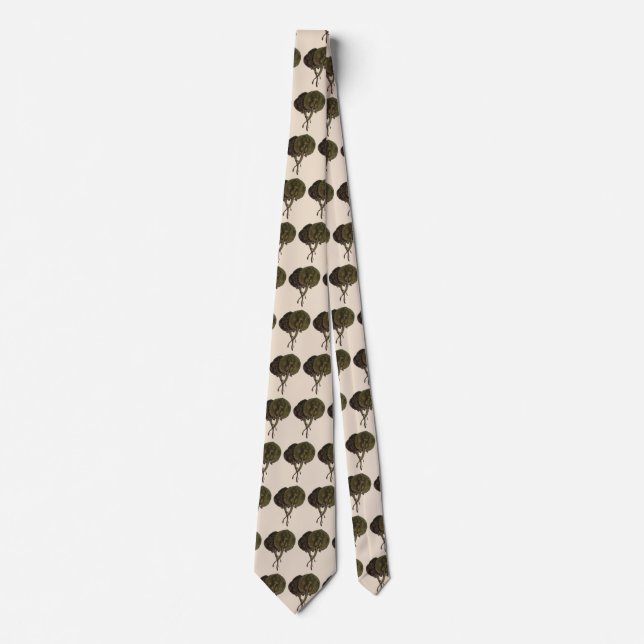 Sting Rays Stingrays, Vintage Marine Life Animals Tie (Front)