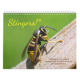 Stingers! A calendar of Bees and Wasps