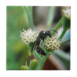 Stinging Insect and succulent plant Tile
