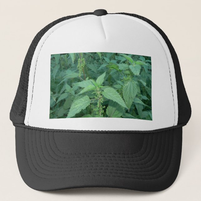 Stinging Nettles Trucker Hat (Front)