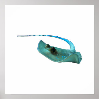 Stingray - Abstract Design - Cut out of a photo | Poster
