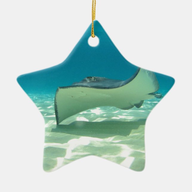 Stingray Ceramic Tree Decoration (Front)