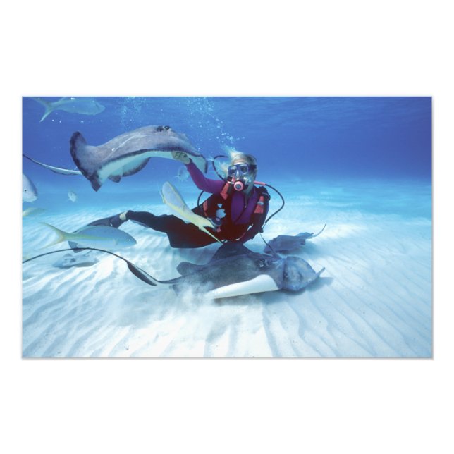 Stingray City, Grand Cayman, Cayman Islands, Photo Print (Front)