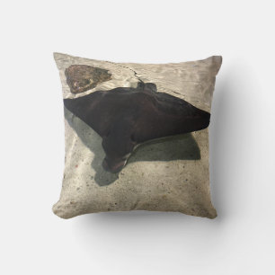 Stingray Cushion