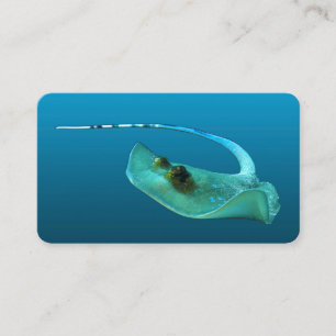 Stingray in motion! Gradient blue background    Enclosure Card