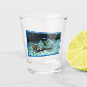 Stingray in motion - Photographic design Shot Glass