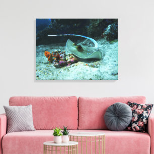Stingray in move - Photo taken at Coral Triangle Canvas Print