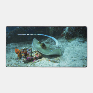 Stingray in move - Photo taken at Coral Triangle Desk Mat