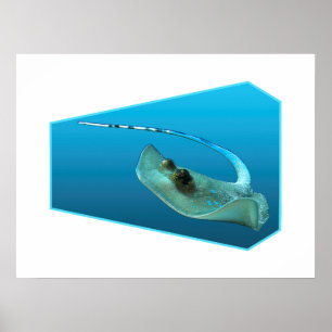 Stingray moving! Design gradient blue background Poster