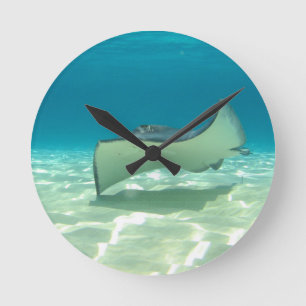 stingray round clock