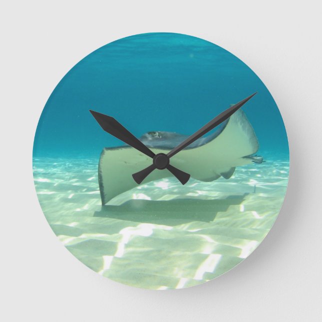 stingray round clock (Front)