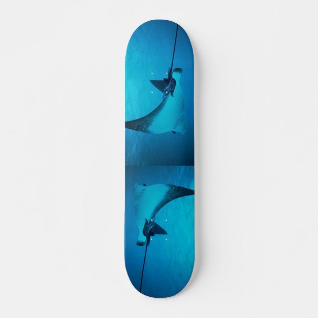 Stingray Skateboard (Front)
