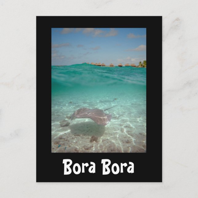 Stingray under the water in Bora Bora black card (Front)