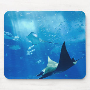 Stingrays Underwater Mouse Pad