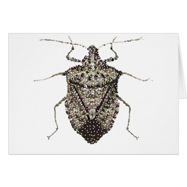 stink bug (Front Horizontal)