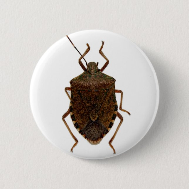 Stink Bug 6 Cm Round Badge (Front)