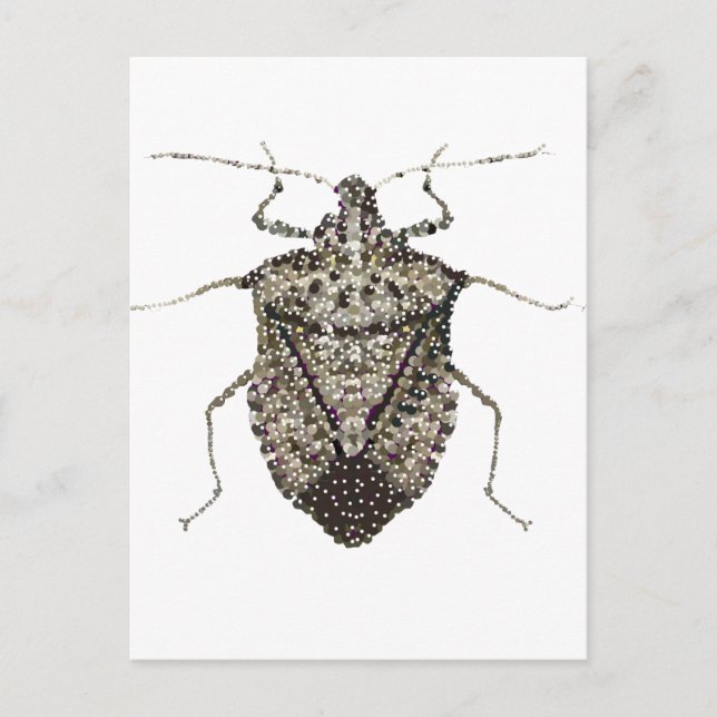 stink bug postcard (Front)