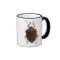 Stink Bug