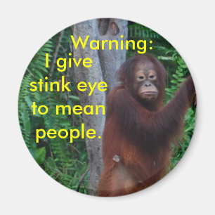 Stink Eye  buttons Magnet
