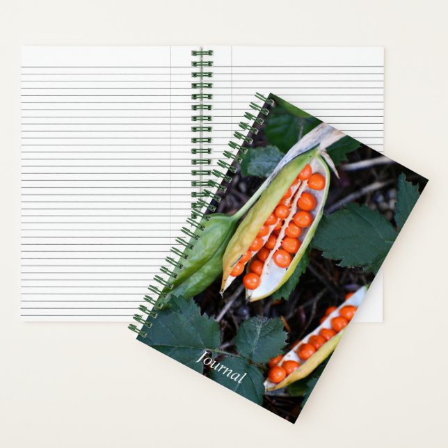 Stinking Iris Seed Pod Photo Notebook (Inside)