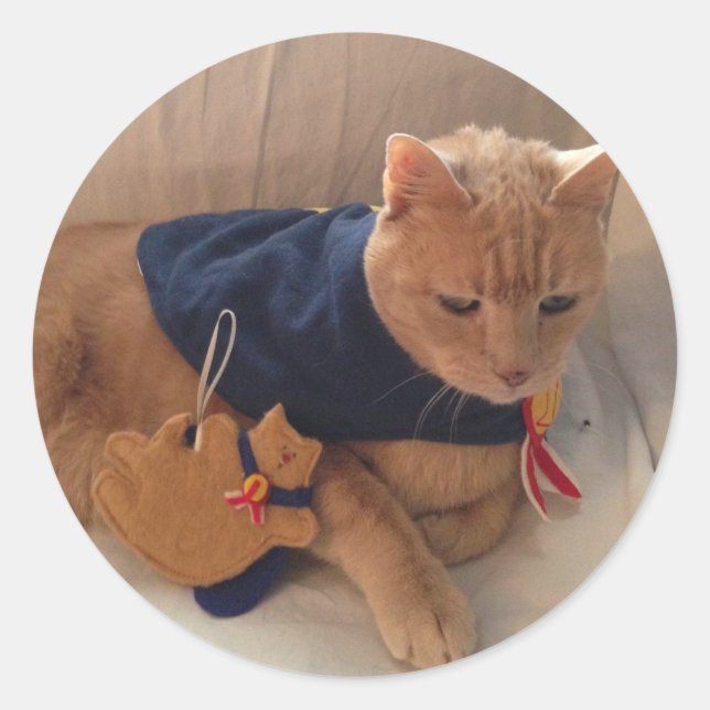 Stinky with his ornament! classic round sticker (Front)