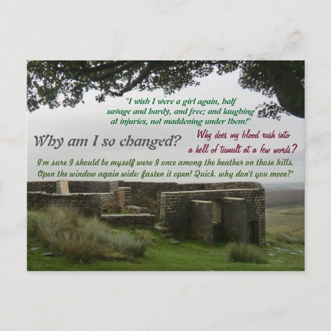 Stir Crazy at Top Withins: Wuthering Heights Site Postcard (Front)