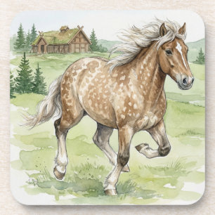 Stjarna Icelandic Horse Galloping in meadow Coaster
