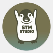 STM'S STICKER - EARTH