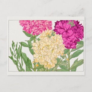 Stock by Tanigami Konan Postcard