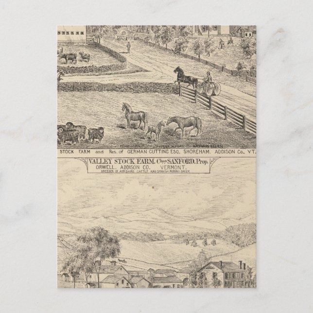 Stock farm and residence in Shoreham Postcard (Front)