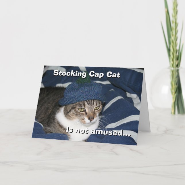 Stocking cap cat is not amused card (Front)