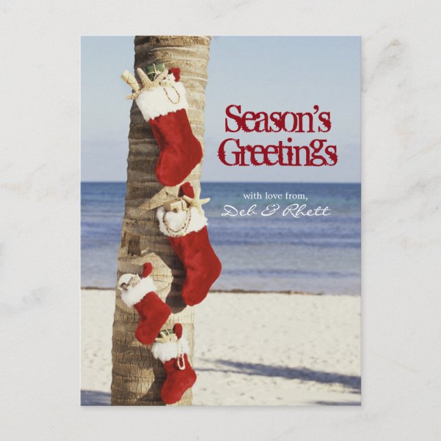 Stockings on palm tree at beach postcard (Front)