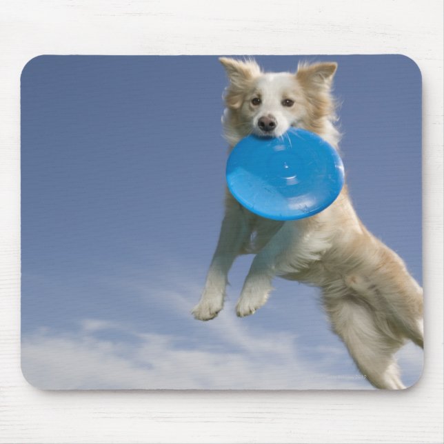 Stockton, California, USA Mouse Pad (Front)