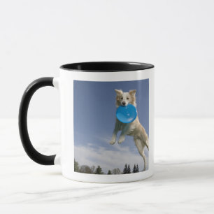 Stockton, California, USA Mug
