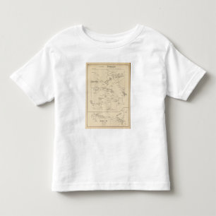Stoddard, Cheshire Co Toddler T-Shirt
