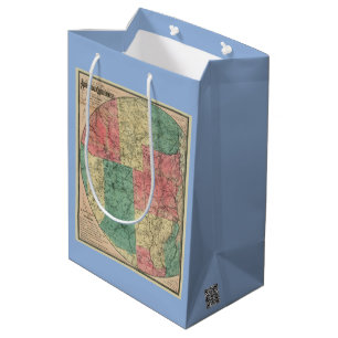 Stoddard's Map of the Adirondack Wilderness, 1883 Medium Gift Bag