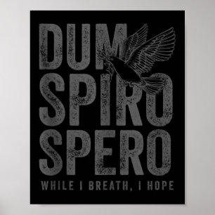 Stoic Philosophy Grey Translation Stoicism Dum Spi Poster