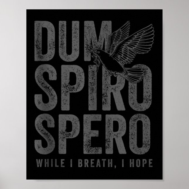 Stoic Philosophy Grey Translation Stoicism Dum Spi Poster (Front)